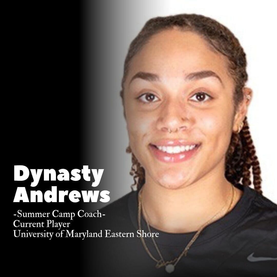 Dynasty